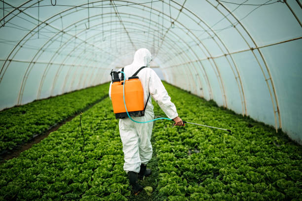 Professional Pest Control in North East, MD