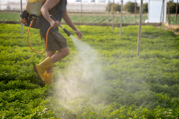 Best Ant Control Services  in North East, MD