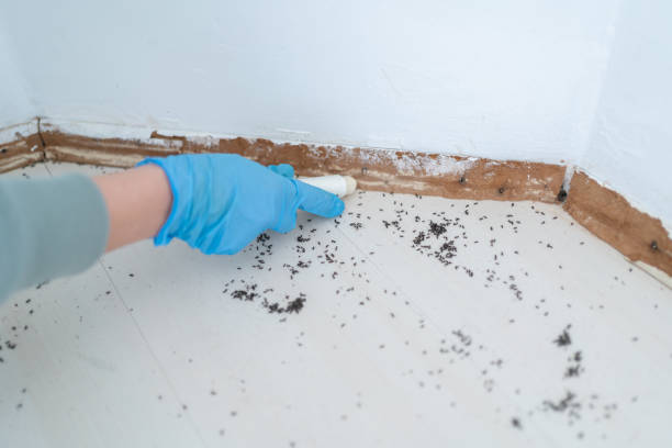 Wildlife Control Services in North East, MD